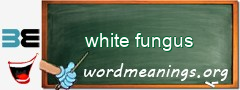 WordMeaning blackboard for white fungus
